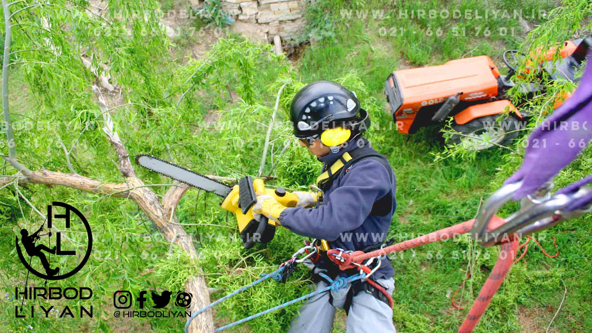 هرس انواع درخت با هر نوع ارتفاع ، با سیستم دسترسی با طناب صنعتی (industrial rope 
              access)
              